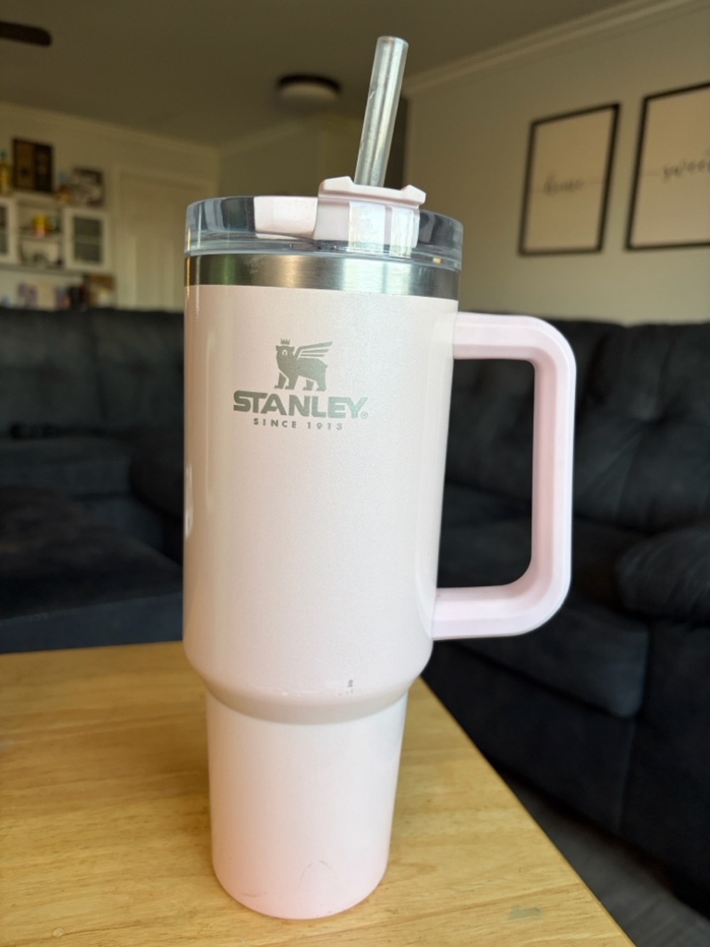 Stanley Pearlescent Tumbler Target Edition